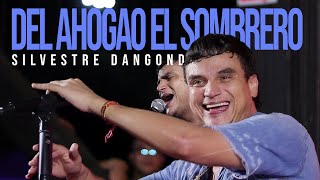 Del Ahogao El Sombrero  Silvestre Dangond Ruben Lanao En Vivo [upl. by Nalyd]