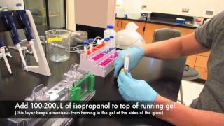 How to make an acrylamide gel for electrophoresis [upl. by Cilurzo]