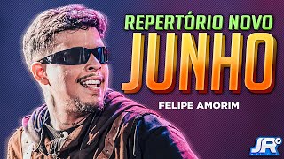 Felipe Amorim  Repertório Novo  Junho 2024  São João 2024  Músicas Novas [upl. by Wadesworth]