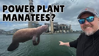 A Bizarre Discovery at a Florida Power Plant Manatees Everywhere [upl. by Byrom205]