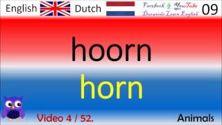 04 Animals  Nederlands  Engels Woorden  Dutch  English Words Cursus Engels [upl. by Einner]