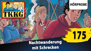 TKKG  Folge 175 Nachtwanderung mit Schrecken  Hörprobe zum Hörspiel [upl. by Artened398]