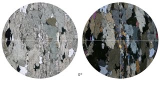 Virtual Microscope Κεροστίλβη  Hornblende [upl. by Dranik907]