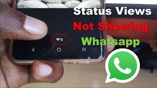 Status Views Not Showing Whatsapp Fix [upl. by Nnaasil]