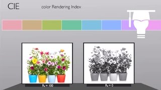 Color Rendering [upl. by Poler]