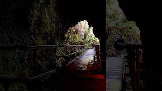 Lava tube chain of crater halemaumau crater steam vents holei sea arch [upl. by Adiuqal953]