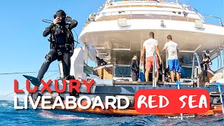 RED SEA LUXURY DIVE LIVEABOARD  Arriving in Egypt  first night on board [upl. by Nart]