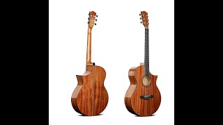 Deviser Acoustic Guitar L625 [upl. by Zeeba211]