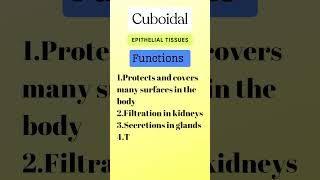 Epithelial Tissues  Types Location Function  Class 9  ncert [upl. by Etsyrk]