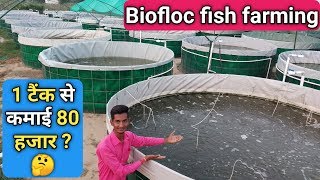 Biofloc Fish Farming in India  एक टैंक से 80000 की कमाई सच या झूठ  मछली पालन कैसे करे [upl. by Atirhs]