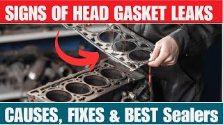 Signs of a leaky head gasketCauses Fix Blown head gasket symptomsampHead Gasket Sealers [upl. by Londoner]