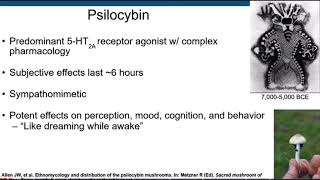 UC Davis 2023 Psychedelic Conference Psilocybin Therapy for mental health treatment [upl. by Nesaj829]