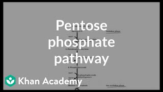 Pentose phosphate pathway  Cyclic structures and anomers  Biomolecules  MCAT  Khan Academy [upl. by Starlin]