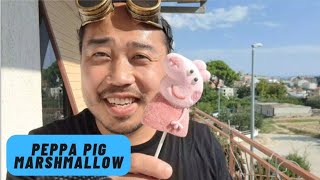 ASMR Satisfying Marshmallow Peppa Pig Pop 🐷 amp Stick Pen Noms [upl. by Lipkin]