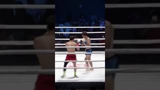 Wushu Sanda Pro Fight  Chineses kickboxing  Boxe Chinês fighting sports shorts short mma [upl. by Malliw]