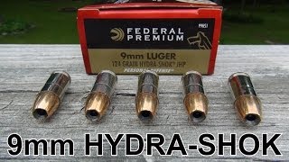 9mm 124 gr Federal HYDRASHOK Ammo Review [upl. by Luy]