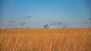 North America’s Tall Grass Prairies A Diminishing Ecosystem [upl. by Annonyw]