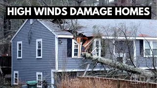 01102024 Marshfield MA  Large Tree Crashes Through Home  Powerful Winter Storm [upl. by Alohcin]