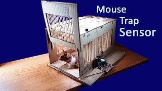 How to make Mouse Trap Sensor  Electronic mouse trap  Electronic trap [upl. by Refynnej]