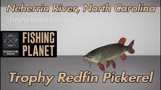 Fishing Planet Trophy Redfin Pickerel Neherrin River North Carolina [upl. by Kaiser781]