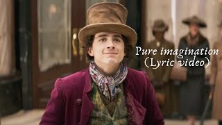 Wonka 2023 Pure Imagination  Lyric video [upl. by Alemac]