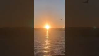 sunset from Helensburgh pier timelapse [upl. by Colon]