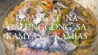 PINANGAT NA GALUNGGONG SA KAMYAS  KAMIAS [upl. by Breh792]