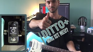 TC Electronic Ditto I Der beliebte mini Looper ist noch besser geworden [upl. by Natsirc789]