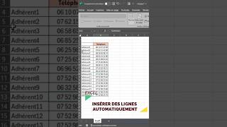 Excel Insérer Lignes Automatiquement  Astuce [upl. by Hull369]