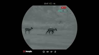 Nocpix Vista H50R Footage Of Fallow [upl. by Eittah]