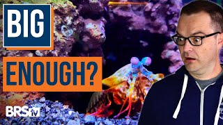 Top 10 Saltwater Fish For Beginners [upl. by Klimesh]