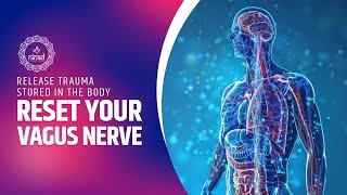 Reset Your Vagus Nerve  Release Trauma Stored In The Body  Destress Your Body  Vagal Tone [upl. by Syst]