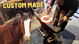 HOT SHOEING Our RESCUED Draft Horse OLIVER [upl. by Dor]