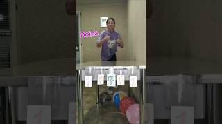 Gumball money ball 💵 shorts serge family challenge fun game moneygames viral top guess [upl. by Regen]