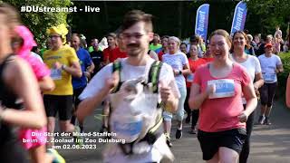 02062023 Der Start der Mixed Staffeln beim 14 Zoolauf im Zoo Duisburg [upl. by Llerrom]