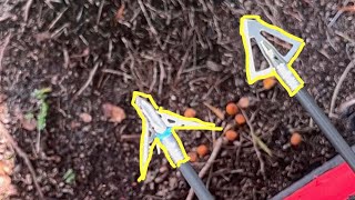 Mathews Lift shoots Megameat mechanical broadhead vs ironwill wide fixed broadhead mathewsarchery [upl. by Allanson]