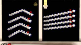 Lipid Structure Function Animation [upl. by Am]