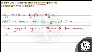 Expand MALT Name the main lymphoid organ in the human body Write its function [upl. by Aratahc]