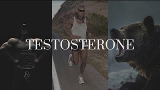 ⚠️WARNING THIS VIDEO WILL INCREASE YOUR TESTOSTERONE [upl. by Redla364]