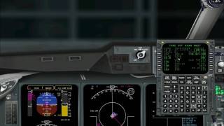 PMDG Md11 full tutorial part1 [upl. by Strephonn430]