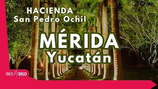 Jardin de Eventos Hacienda SAN PEDRO OCHIL en Mérida Yucatán [upl. by Alarice]