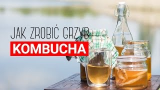 Grzyb kombucha przepis Jak zrobić herbaciany grzyb Czajnikowypl [upl. by Notyep]