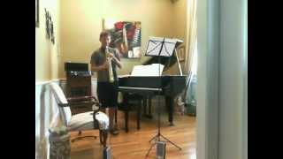 Theme From Schindlers List  John Williams Soprano Sax cover [upl. by Renruojos]