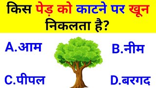 GK Question  GK In Hindi  GK Question and Answer  GK Quiz [upl. by Amitarp]