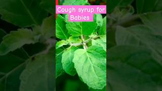 குழந்தை மருத்துவம் சளி🌿 shorts baby health trending homeremedies [upl. by Eiramlatsyrc721]