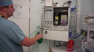 Anaesthetic machine check real time bain circuit [upl. by Alleusnoc923]