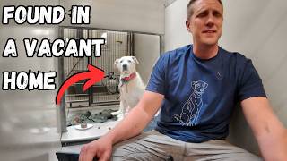 Watch what Happens When I Sing to a Shelter Dog [upl. by Althea433]