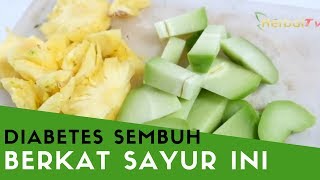 SAYUR INI Efektif Bantu Menyembuhkan DIABETES  Dan Cara Mengolahnya [upl. by Adiesirb]