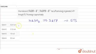 One molecule of NADH  HNADPH  H has sufficient energy to generate 3 ATP [upl. by Newo]