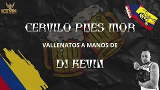 COMO EXPRESAR LO QUE SIENTO  BINOMIO DE ORO  Lyric Video  DJ KEVIN [upl. by Ydoow339]